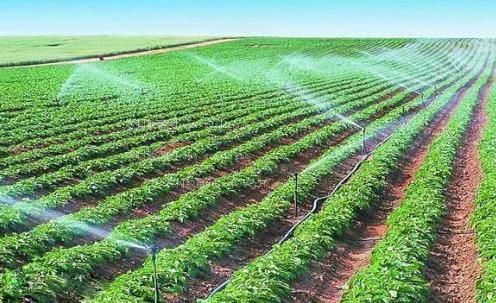 艹逼视频网站免费看农田高 效节水灌溉